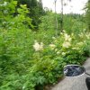 2012-06-23 - 11-05-08 SchweizTour